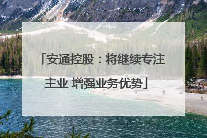安通控股：将继续专注主业 增强业务优势