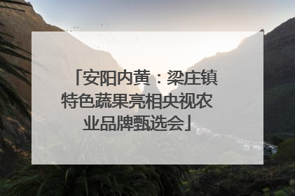 安阳内黄：梁庄镇特色蔬果亮相央视农业品牌甄选会