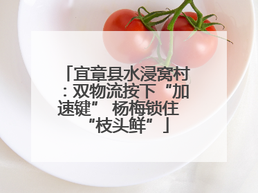 宜章县水浸窝村：双物流按下“加速键” 杨梅锁住“枝头鲜”