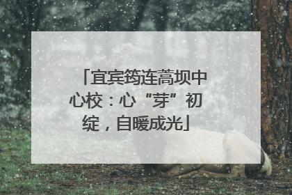 宜宾筠连蒿坝中心校：心“芽”初绽，自暖成光