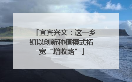 宜宾兴文：这一乡镇以创新种植模式拓宽“增收路”