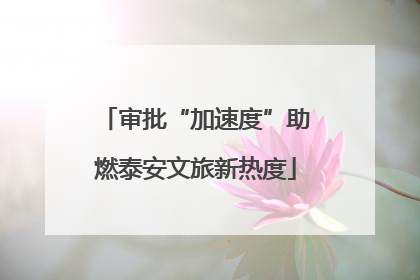 审批“加速度”助燃泰安文旅新热度