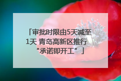 审批时限由5天减至1天 青岛高新区推行“承诺即开工”