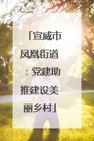 宣威市凤凰街道：党建助推建设美丽乡村