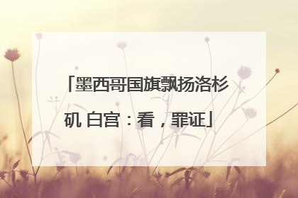 墨西哥国旗飘扬洛杉矶 白宫：看，罪证