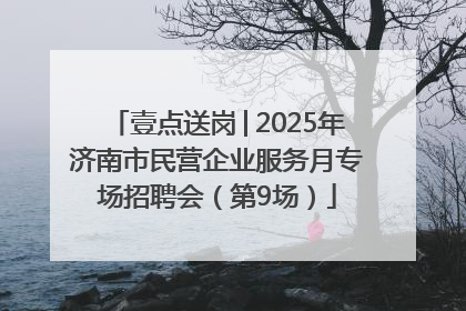 壹点送岗│2025年济南市民营企业服务月专场招聘会（第9场）