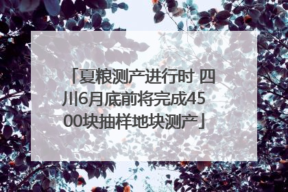 夏粮测产进行时 四川6月底前将完成4500块抽样地块测产