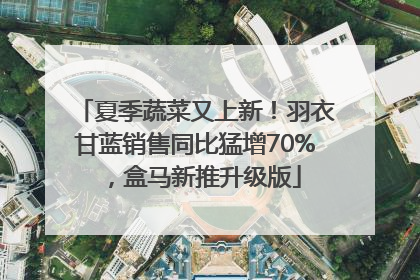 夏季蔬菜又上新！羽衣甘蓝销售同比猛增70%，盒马新推升级版