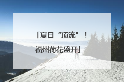 夏日“顶流”！福州荷花盛开