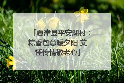 夏津县平安湖村：粽香包意暖夕阳 艾锤传情敬老心