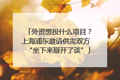 外资想投什么项目？上海浦东邀请供需双方“坐下来掰开了谈”