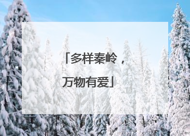 多样秦岭，万物有爱