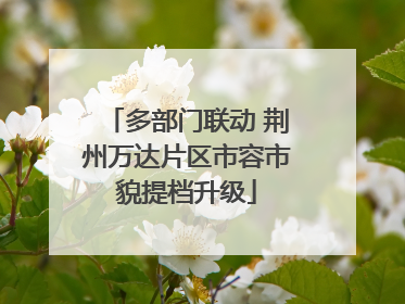 多部门联动 荆州万达片区市容市貌提档升级