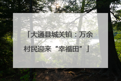 大通县城关镇：万余村民迎来“幸福田”
