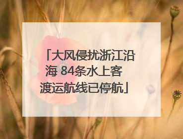 大风侵扰浙江沿海 84条水上客渡运航线已停航
