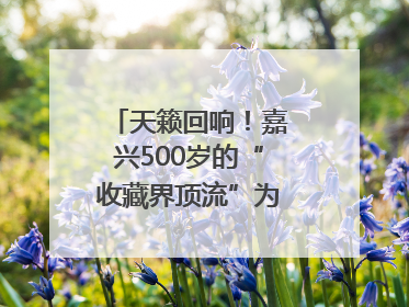 天籁回响！嘉兴500岁的“收藏界顶流”为何再次出圈