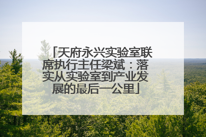 天府永兴实验室联席执行主任梁斌：落实从实验室到产业发展的最后一公里