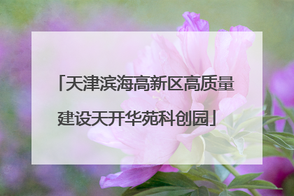 天津滨海高新区高质量建设天开华苑科创园