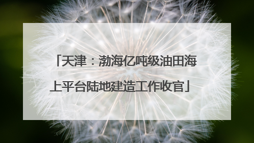 天津：渤海亿吨级油田海上平台陆地建造工作收官