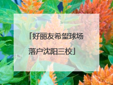 好丽友希望球场落户沈阳三校