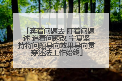 奔着问题去 盯着问题述 追着问题改 宁夏坚持将问题导向效果导向贯穿述法工作始终