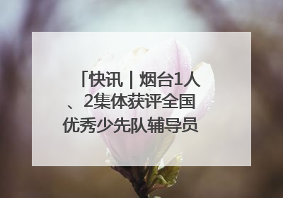 快讯｜烟台1人、2集体获评全国优秀少先队辅导员、集体荣誉称号