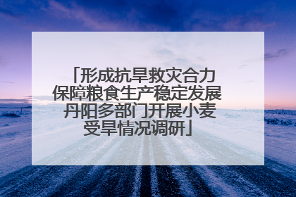 形成抗旱救灾合力 保障粮食生产稳定发展 丹阳多部门开展小麦受旱情况调研