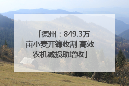 德州：849.3万亩小麦开镰收割 高效农机减损助增收