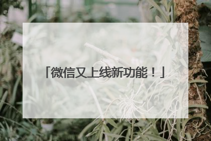 微信又上线新功能！