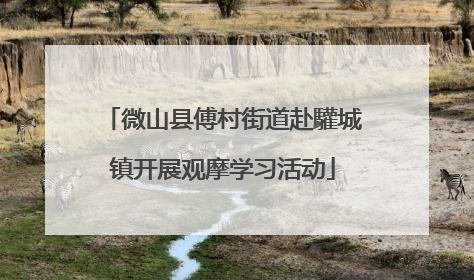 微山县傅村街道赴驩城镇开展观摩学习活动