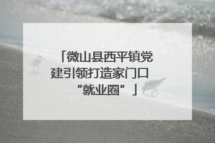 微山县西平镇党建引领打造家门口“就业圈”
