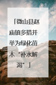 微山县赵庙镇多措并举为绿化苗木“补水解渴”
