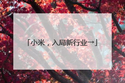 小米，入局新行业→