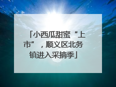 小西瓜甜蜜“上市”，顺义区北务镇进入采摘季