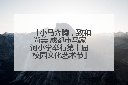 小马奔腾，致和尚美 成都市马家河小学举行第十届校园文化艺术节
