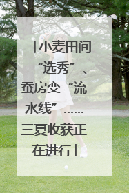 小麦田间“选秀”、蚕房变“流水线”……三夏收获正在进行