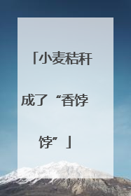 小麦秸秆成了“香饽饽”