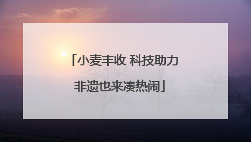 小麦丰收 科技助力 非遗也来凑热闹