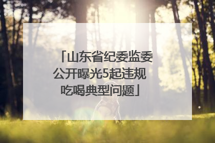 山东省纪委监委公开曝光5起违规吃喝典型问题