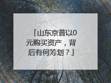 山东京普以0元购买资产，背后有何筹划？
