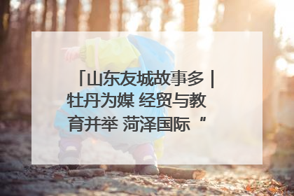 山东友城故事多｜牡丹为媒 经贸与教育并举 菏泽国际“朋友圈”扩容升级