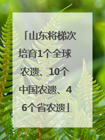 山东将梯次培育1个全球农遗、10个中国农遗、46个省农遗