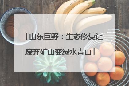 山东巨野：生态修复让废弃矿山变绿水青山