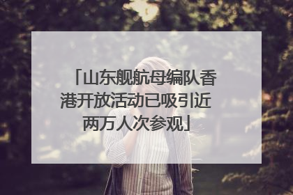 山东舰航母编队香港开放活动已吸引近两万人次参观