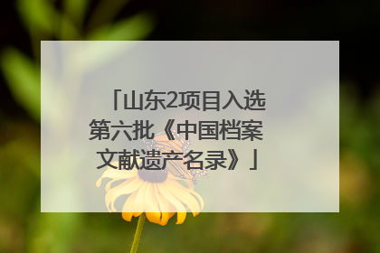 山东2项目入选第六批《中国档案文献遗产名录》