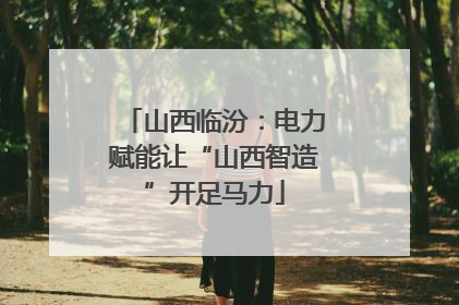 山西临汾：电力赋能让“山西智造”开足马力