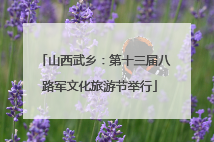 山西武乡：第十三届八路军文化旅游节举行
