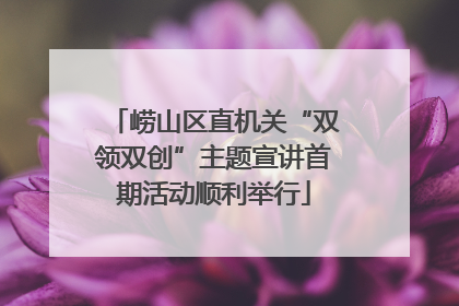 崂山区直机关“双领双创”主题宣讲首期活动顺利举行