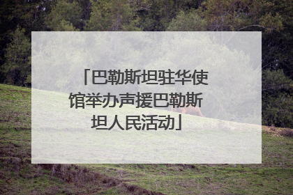 巴勒斯坦驻华使馆举办声援巴勒斯坦人民活动