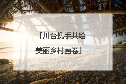 川台携手共绘美丽乡村画卷